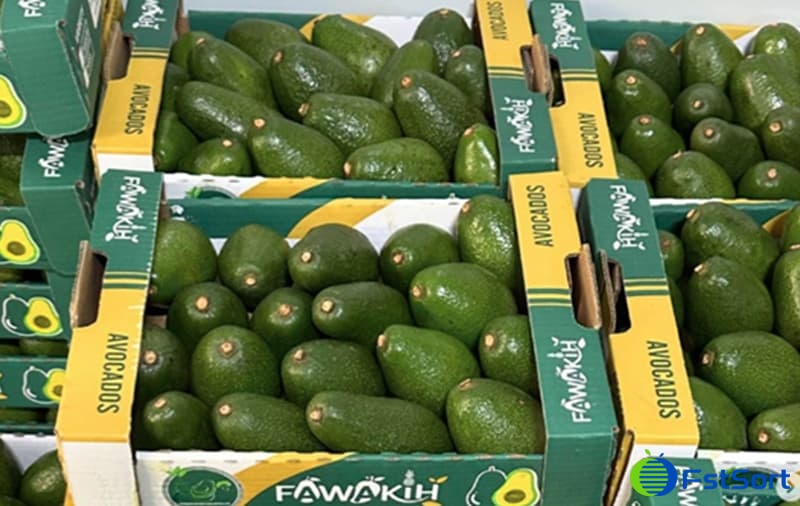 images/1713254330569cultivo de aguacate peruano.jpg
